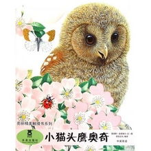 貓頭鷹價格查詢與比價攻略 從51比購返利網(wǎng)到貓頭鷹網(wǎng)絡科技
