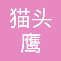 探秘貓頭鷹網(wǎng)絡科技 優(yōu)勢、業(yè)務與市場評價