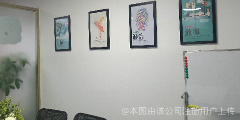 貓頭鷹網(wǎng)絡(luò)科技 智慧與夜行的數(shù)字先鋒