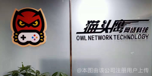 成都貓頭鷹網絡科技